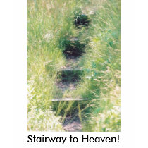 Stairway to Heaven T-Shirt by jerijune Stairway to Heaven T-Shirt