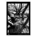 Stairway to Heaven, The Sky Is The Limit! cards by jsternig Stairway to Heaven, The Sky Is The Limit! cards