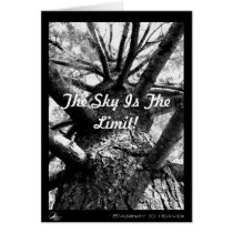 Stairway to Heaven, The Sky Is The Limit! cards
