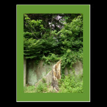 Stairway to Nowhere postcards