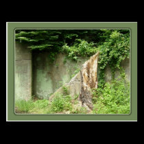 Stairway to Nowhere postcards