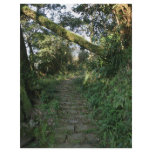 Stairway to the trees flyers