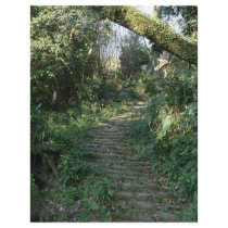 Stairway to the trees personalized flyer