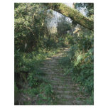 Stairway to the trees flyers