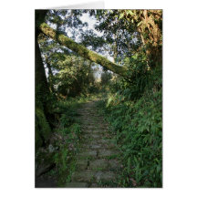 Stairway to the trees greeting card