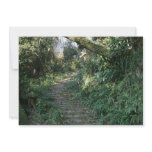 Stairway to the trees personalized announcements