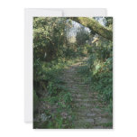 Stairway to the trees personalized invite