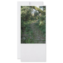 Stairway to the trees custom rack cards