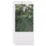 Stairway to the trees rack cards