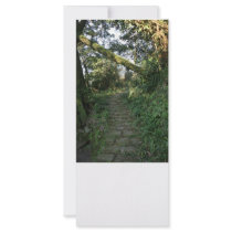 Stairway to the trees personalized rack card