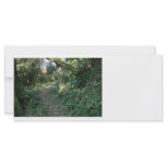 Stairway to the trees rack cards