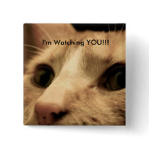 Stalker cat is watching your every move. pinback buttons