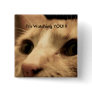 Stalker cat is watching your every move. pinback buttons