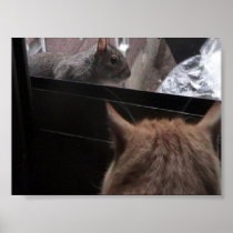 Stalking The Squirrel Poster