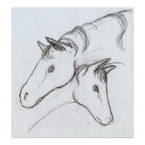 Stallion and Mare Study posters