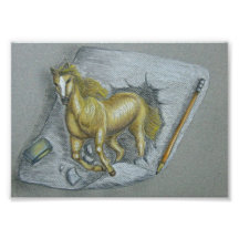 Stallion Photo