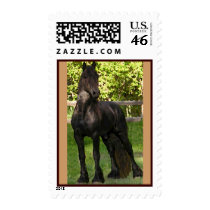 Stallion Postage Stamps