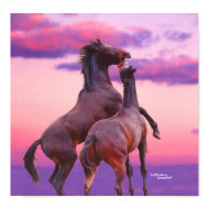 Stallions Play at Sunrise, Poster print