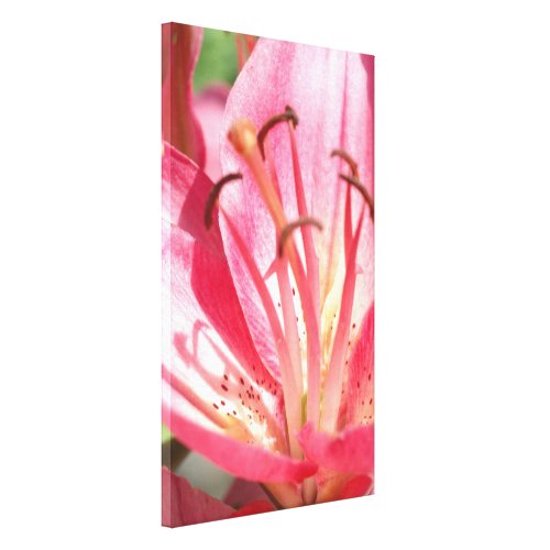 Stamens and Pistils: Another Study in Pink Stamens and Pistils: Another Study in Pink