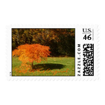 Stamford, Ct  $B.A.K.$ Original Stamp
