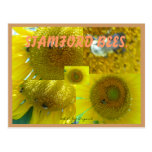STAMFORD  CT BEES POST CARDS