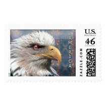 stamp954 stamps