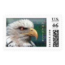 stamp955 stamps