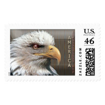 stamp956 stamps
