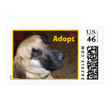 stamp, Adopt