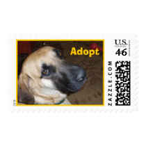 stamp, Adopt by gailsuerou stamp, Adopt