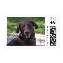 Stamp "Blake" by PinkMonkey_8 Stamp "Blake"