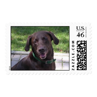 Stamp "Blake" by PinkMonkey_8