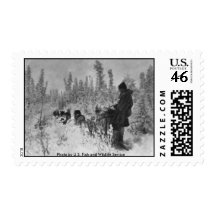Stamp / Dog Team on the Trail