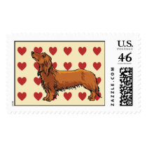 Stamp - I love Dachshunds