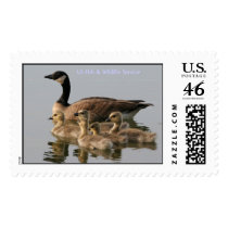 Stamp / Lesser Canada Goose Brood by moxieann Stamp / Lesser Canada Goose Brood