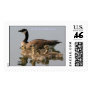 Stamp / Lesser Canada Goose Brood Postage Stamps