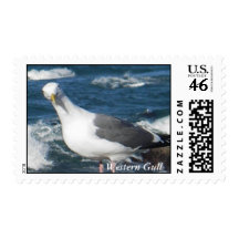 Stamp:  Looking Gull