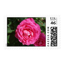 Stamp Me Brightly stamps