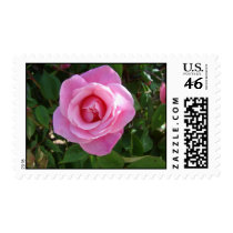 Stamp Me Pink stamps