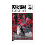 fish, fishing, recreation, christmas, holiday