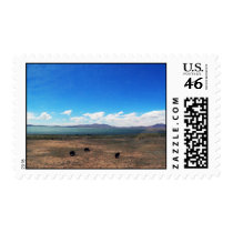 Stamp of Lhasa, Tibet stamps