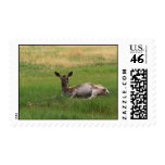 Stamp of Lhasa, Tibet