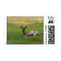 Stamp of Lhasa, Tibet