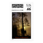 Stamp / Okefenokee National Wildlife Refuge
