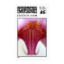 Stamp_Orchid by ivykoko Stamp_Orchid