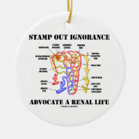 Stamp Out Ignorance Advocate A Renal Life Nephron Double-Sided Ceramic Round Christmas Ornament