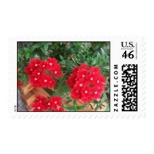 stamp postage gardenia red flower bed