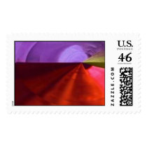 Stamp Reef