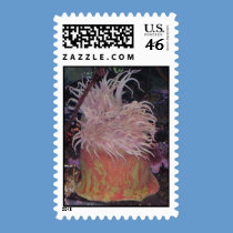 STAMP -sea life