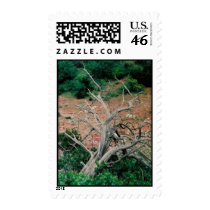 Stamp - The Dusty Road stamps
